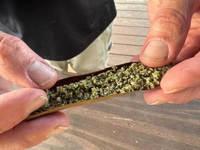 Rolling a marijuana blunt