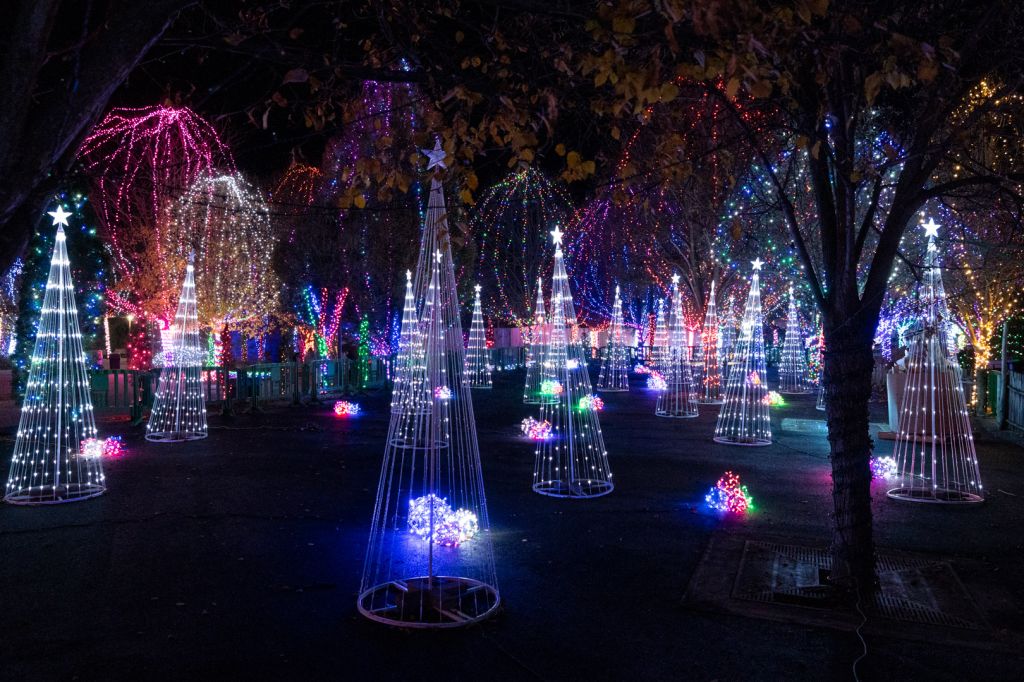 Wildlights at Columbus Zoo and Aquarium