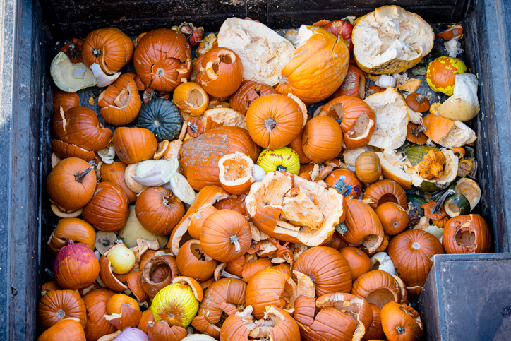 Flat Lay of Shattered Pumpkins After the Exciting Pumpkin Drop Event