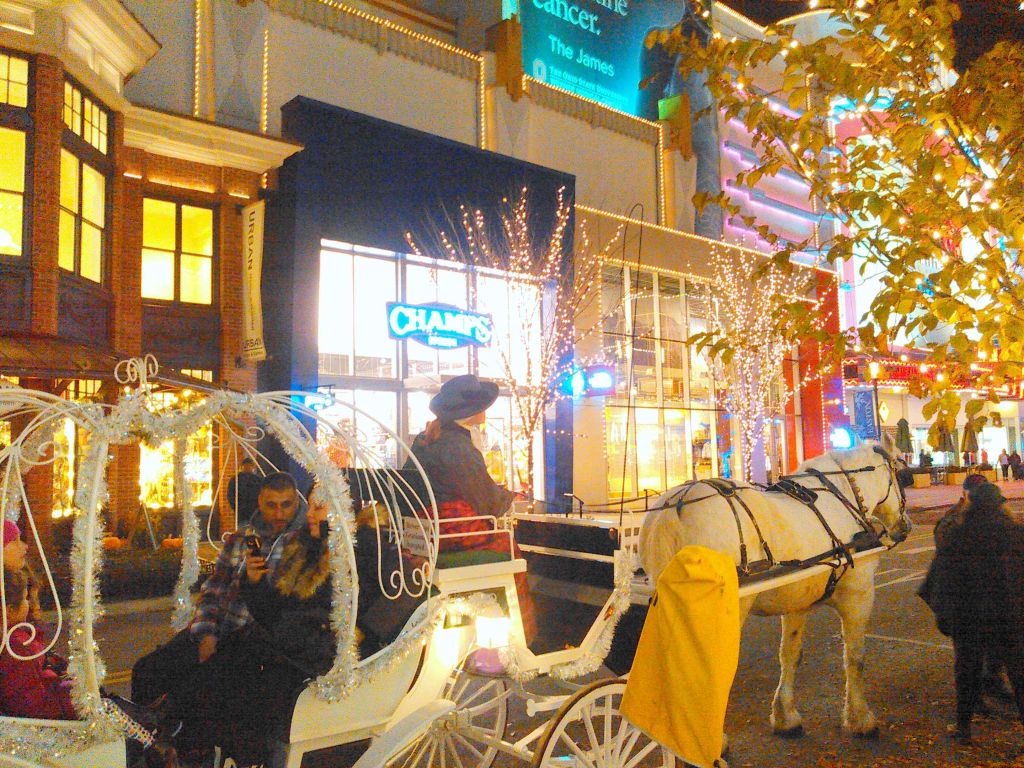 Carriage Rides at Easton Center