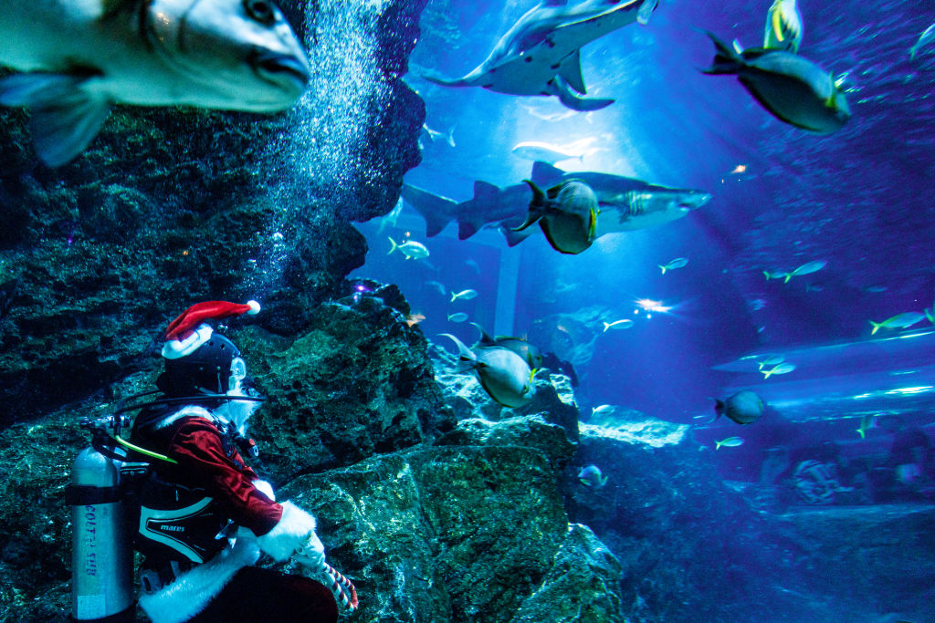 Sea Life Bangkok Ocean World in Thailand