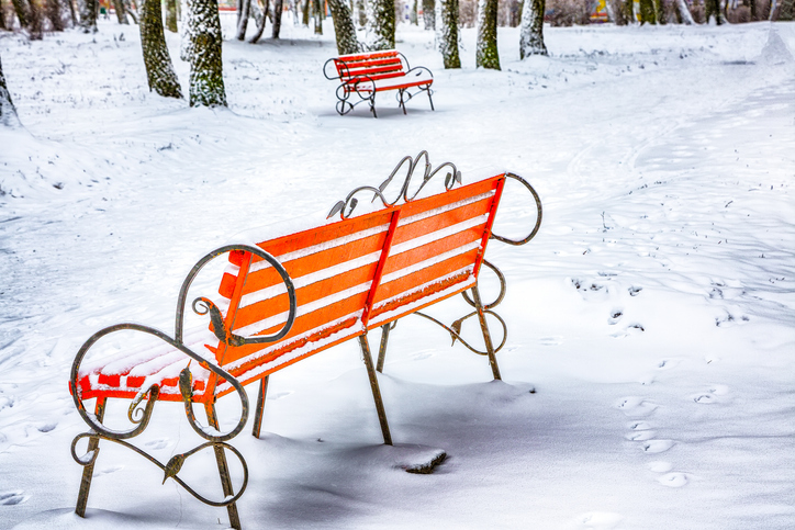 Astonishing view of park bench and trees covered by heavy snow.