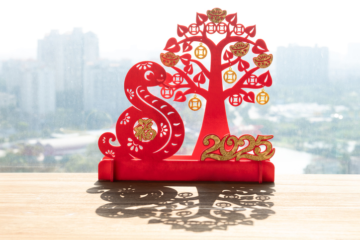 Chinese New Year of Snake mascot with shadow translation of the Chinese character is fortune no logo no trademark