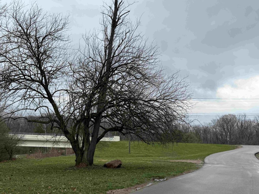 Columbus: Lunes nublado, posibles lluvias y máxima de 58 °F