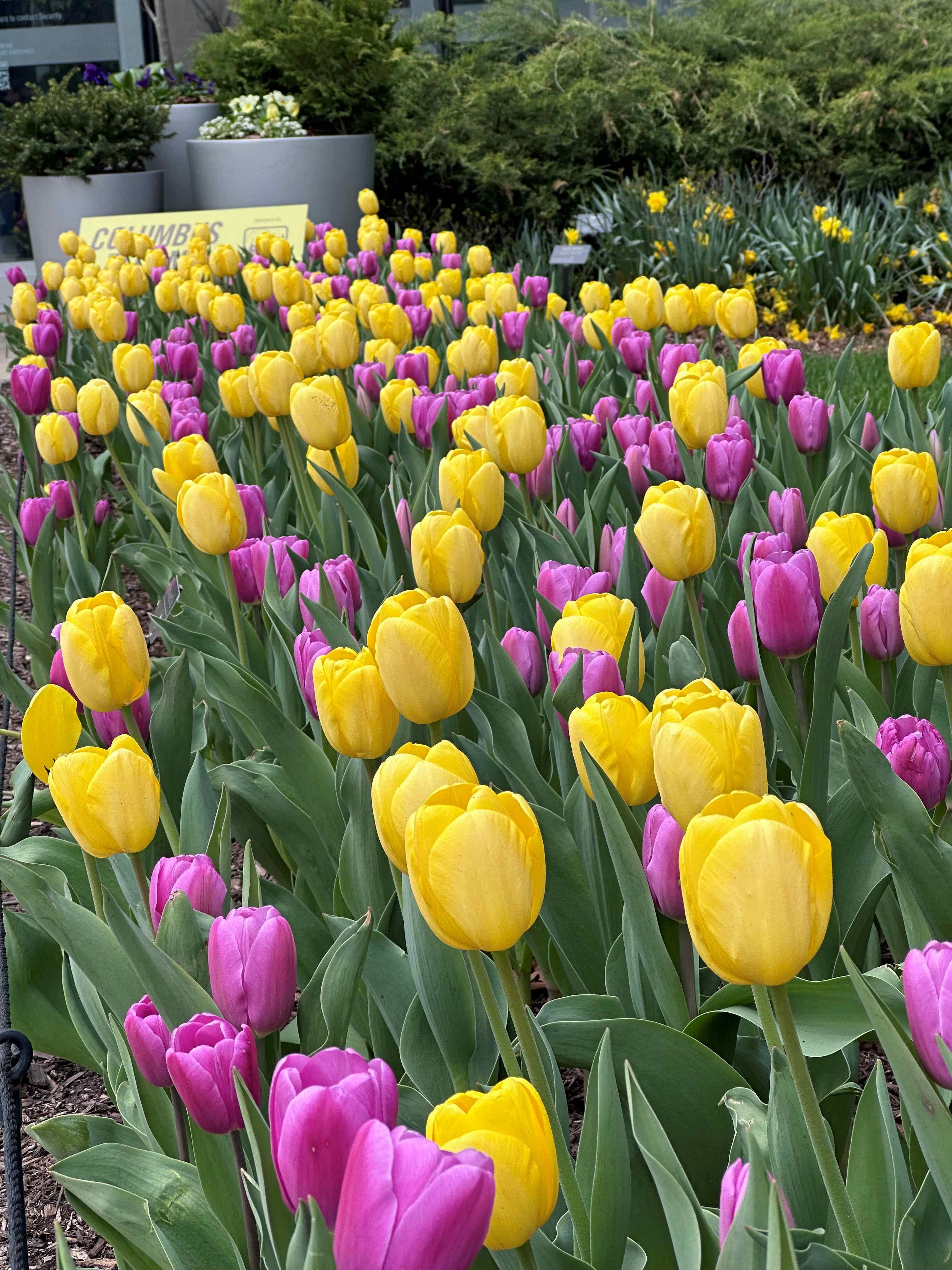 Combinaciones atractivas