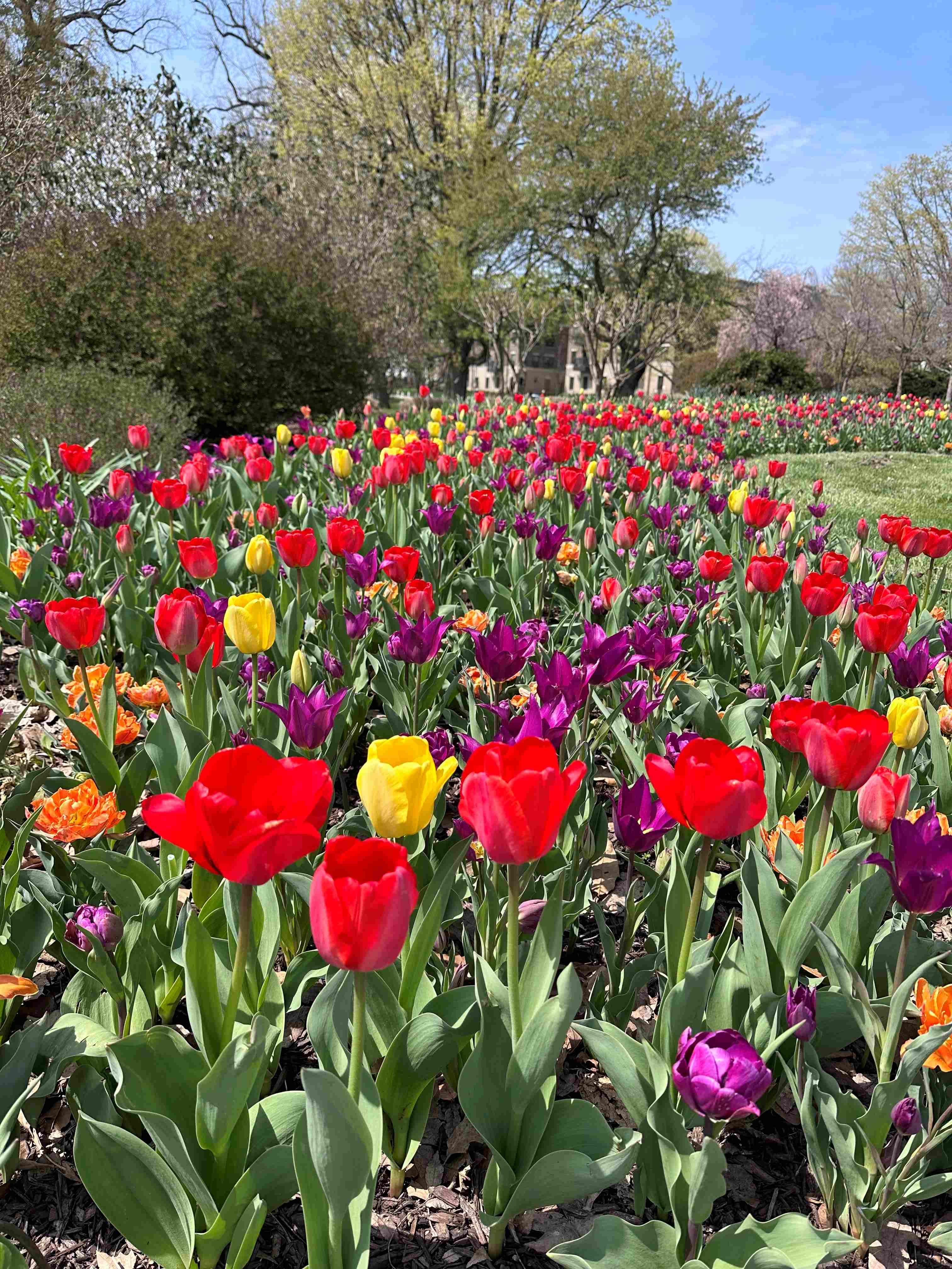 Deleitando los sentidos