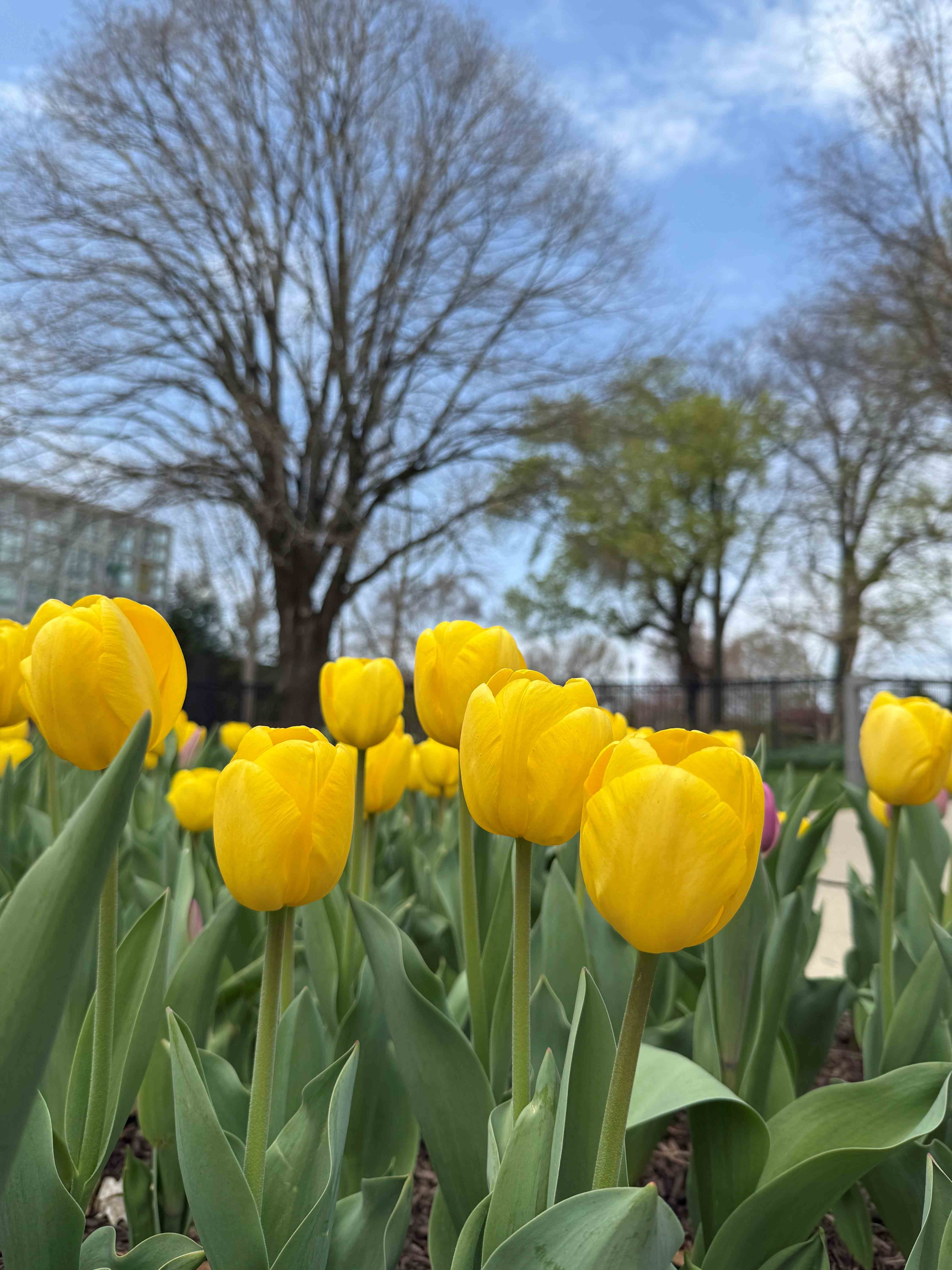 Regalo de la naturaleza