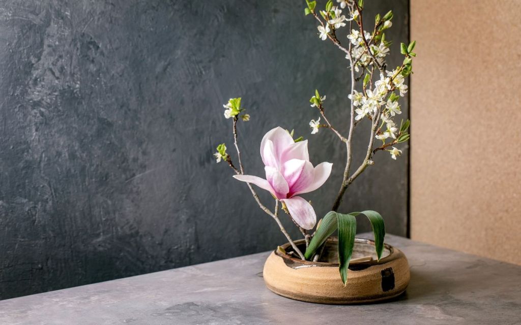 Yokoso Center ofrece clases sobre técnica floral de ikebana