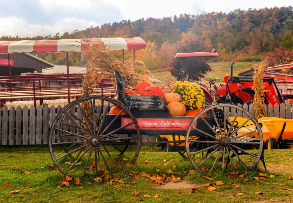 ¡Otra fiesta de otoño en el centro de Ohio durante el fin de semana!