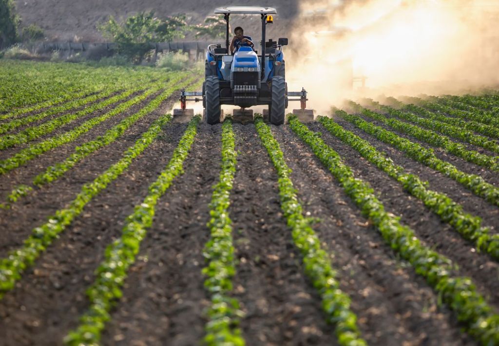 Agricultores de Ohio sufren por la sequía
