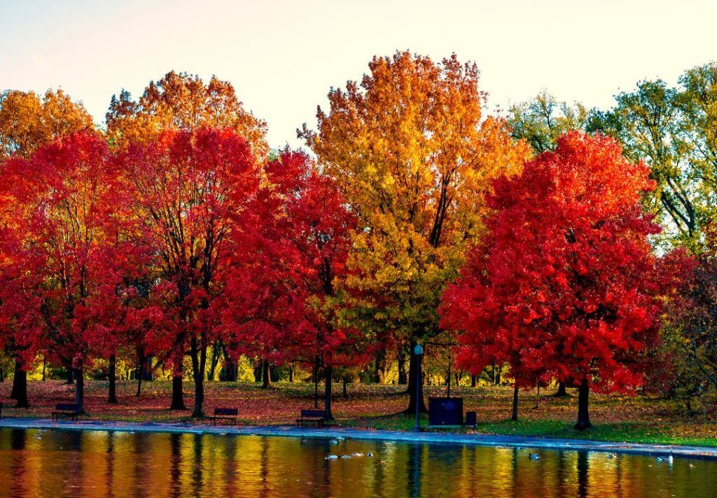 Ohio alcanza su máximo esplendor con el color del otoño