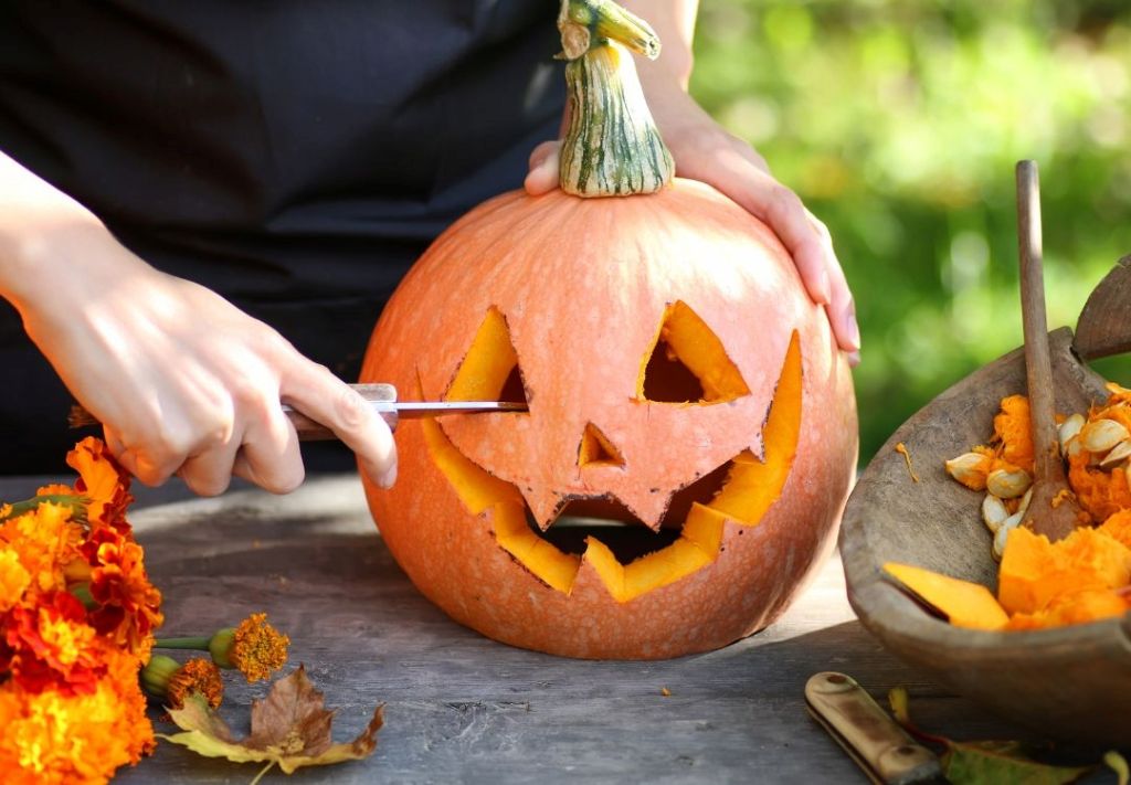 Exhibición “Harvest Bloom” culminará este fin de semana