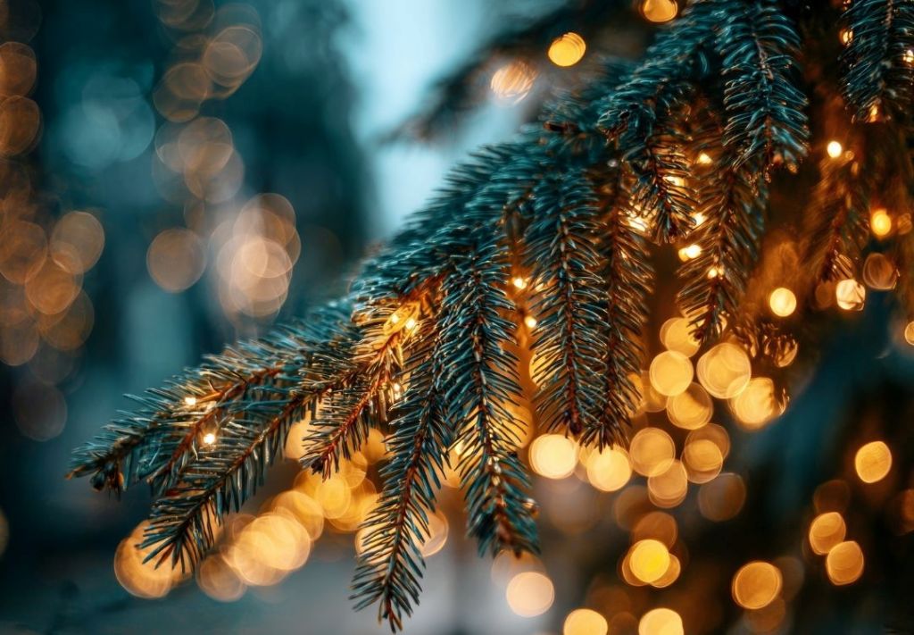 “Wander Lights”, magia y alegría en Columbus Commons