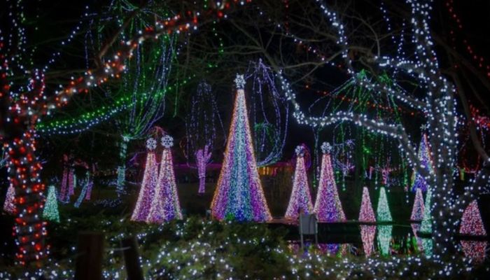 Columbus Zoo Wildlights