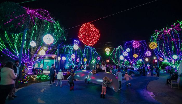 Columbus Zoo Wildlights