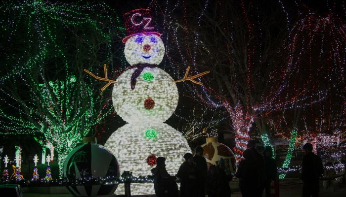 Columbus Zoo Wildlights