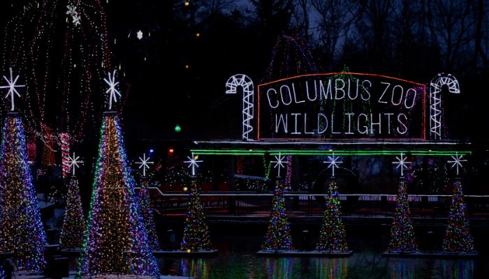 Columbus Zoo Wildlights