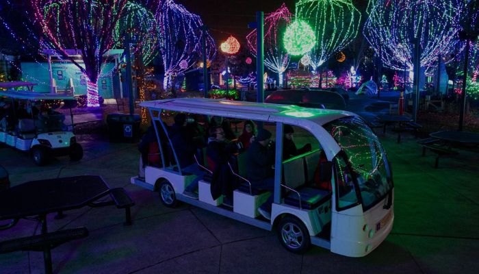 Columbus Zoo Wildlights