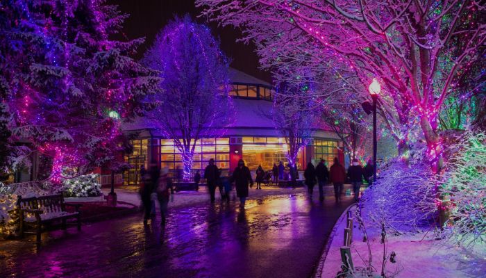 Columbus Zoo Wildlights