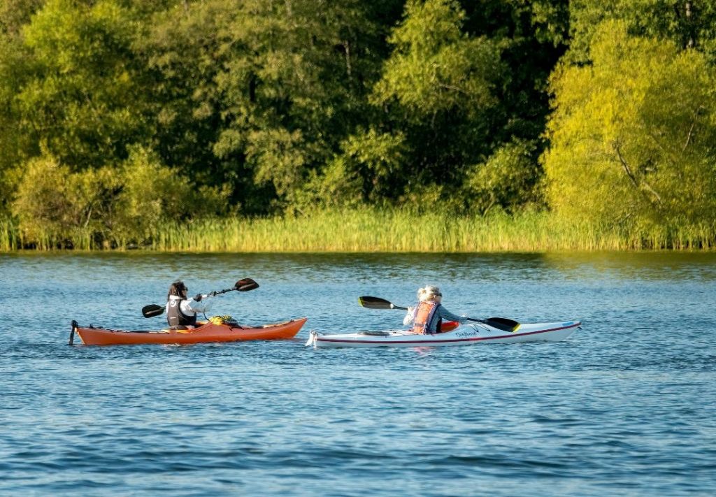 Two people kayaking on a lake surrounded by lush green trees.