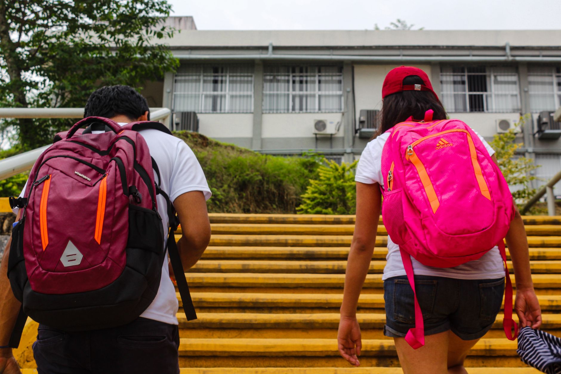 students climbing stairs on university campus