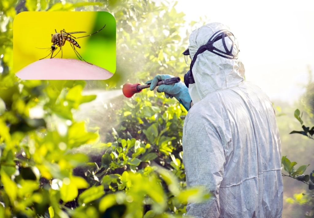 A person in a protective hazmat suit spraying insecticide on plants in a lush, green environment. A close-up of a mosquito is shown in the inset image.