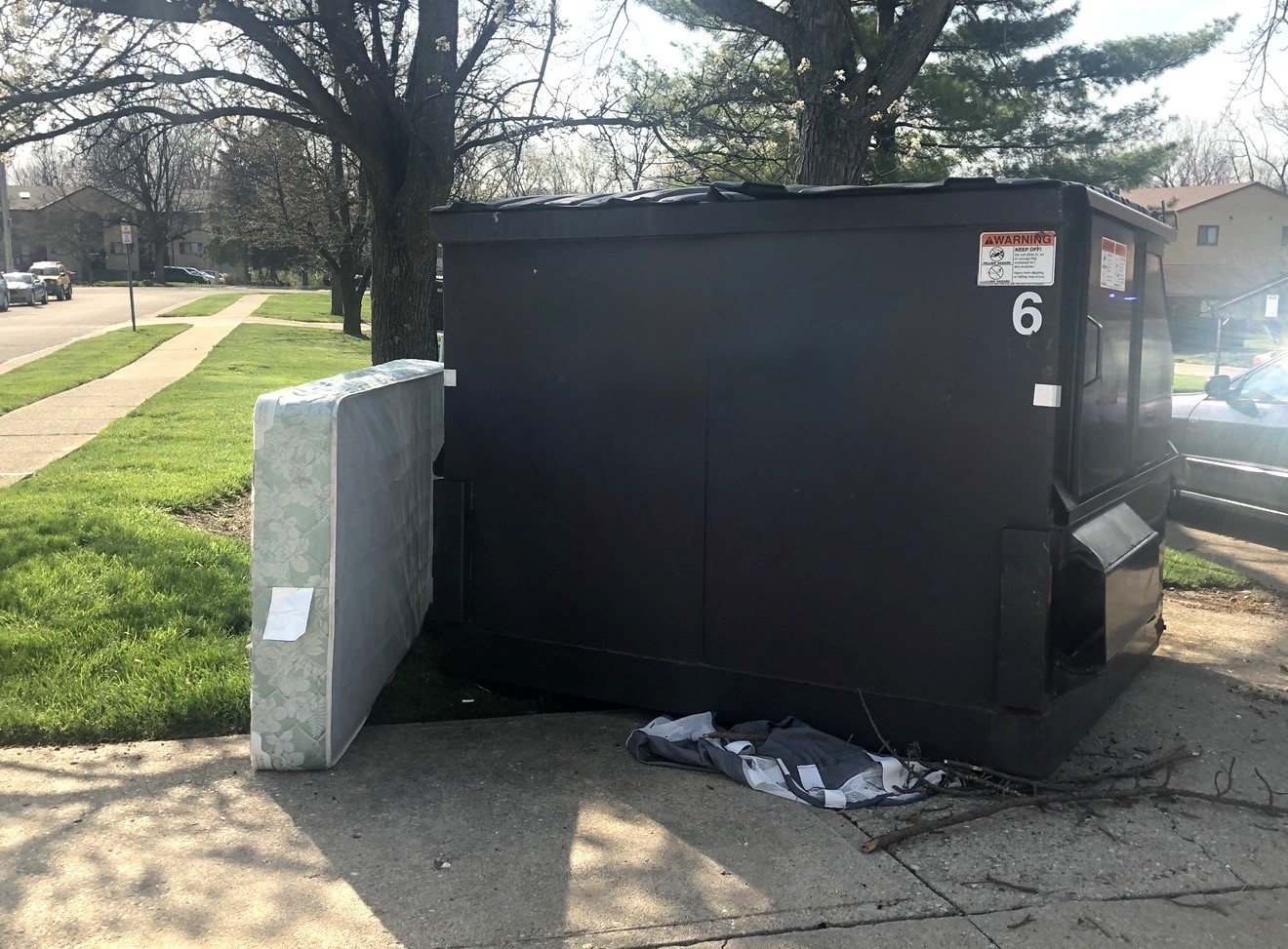 A black dumpster or trash container with the number "6" on its side, sitting on a grassy area near trees.