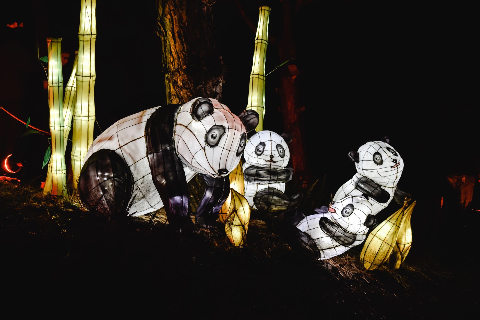 lanterns with lights shaped like pandas